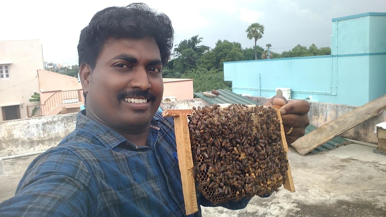 LAVA Company Beginnings