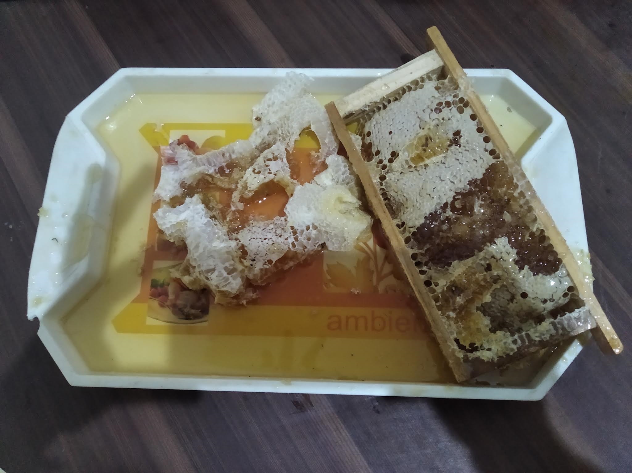 LAVA Company Beginnings