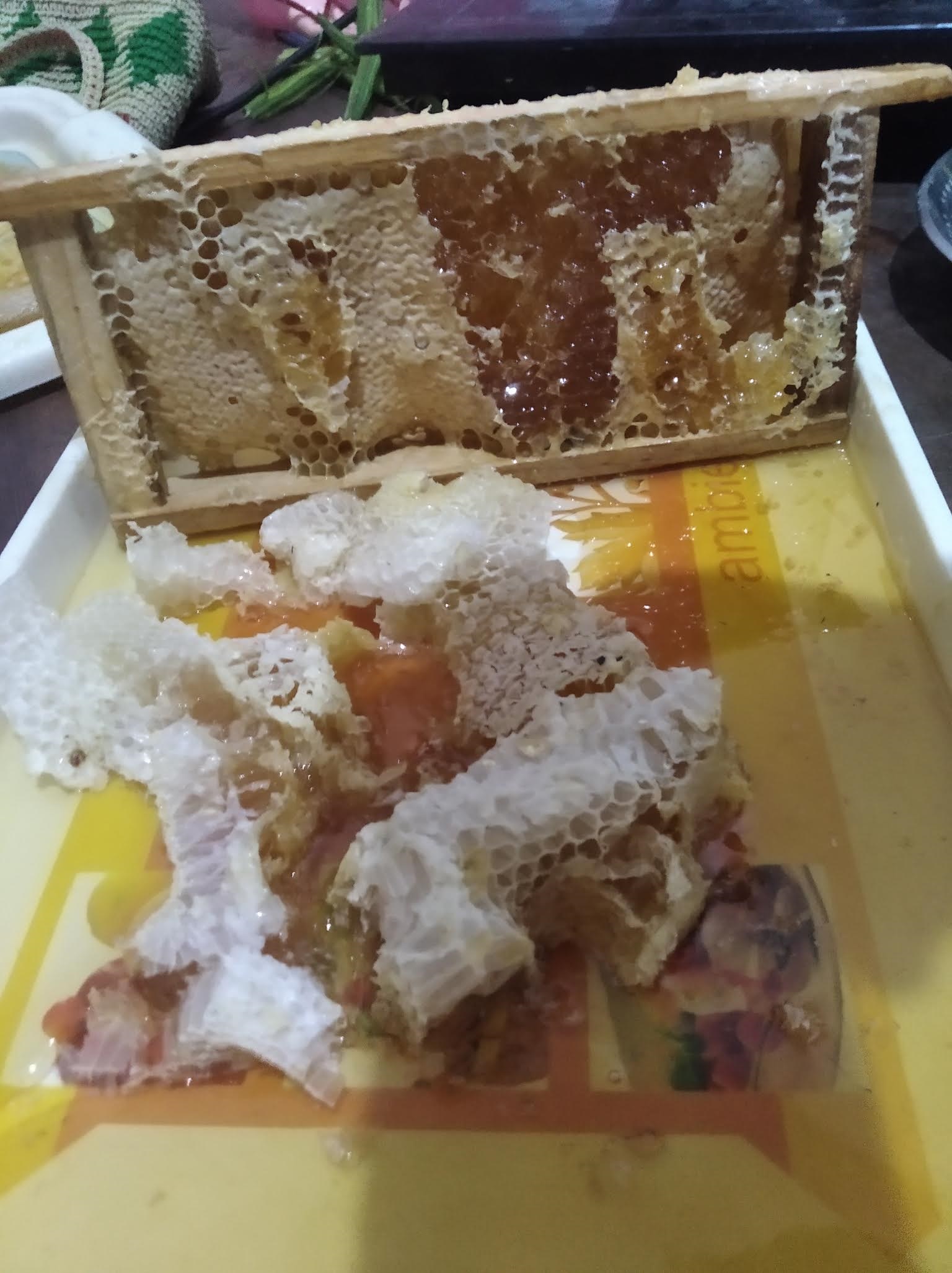 LAVA Company Beginnings