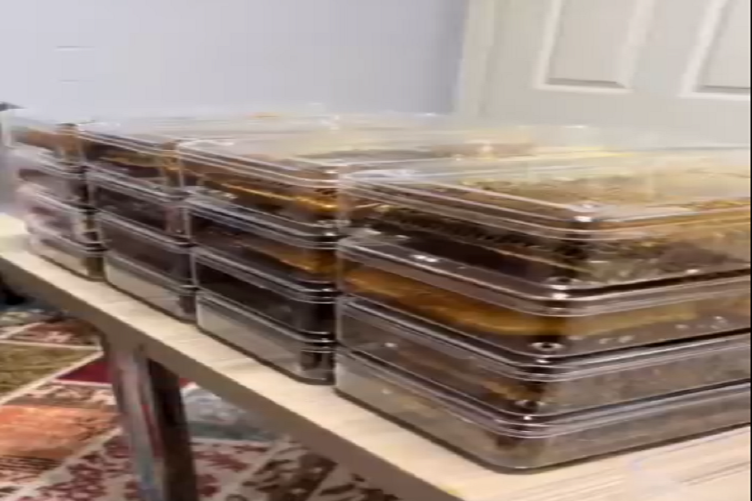 LAVA Company Beginnings