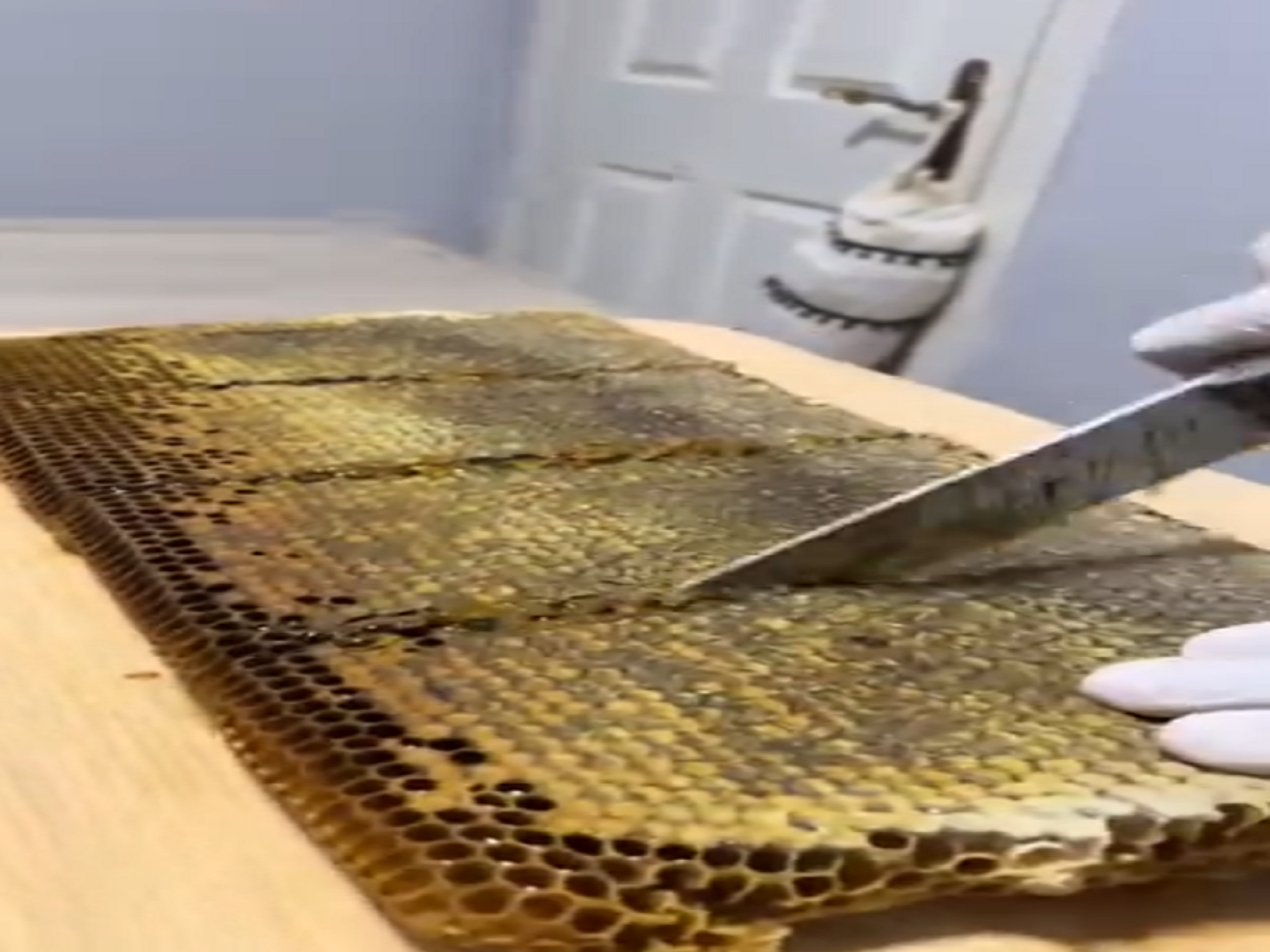 LAVA Company Beginnings